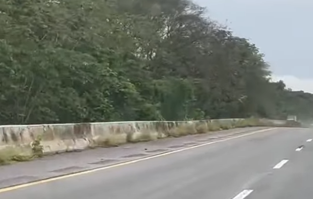 Jersey de la vía panamericana en sector de Santa Lucía y San Félix rodeado de vegetación