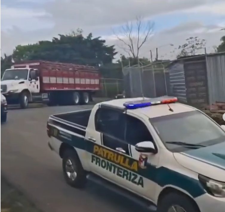 Senafront intercepta contrabando de ganado en la frontera con Costa Rica
