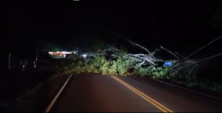 Árbol colapsa en la vía hacia Boquete y afecta el tránsito nocturno