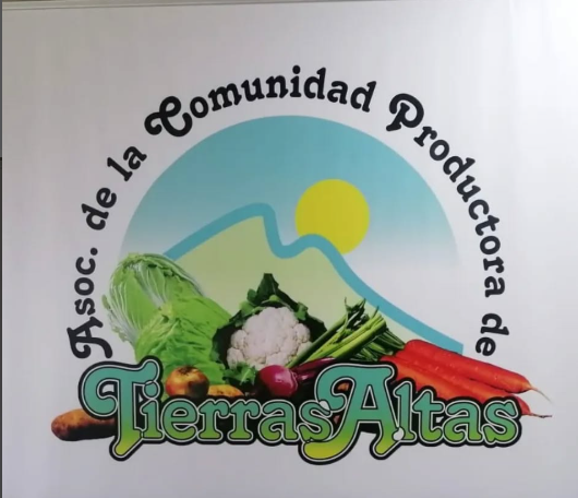 Productores de Tierras Altas alertan sobre venta de papa importada no apta para el consumo