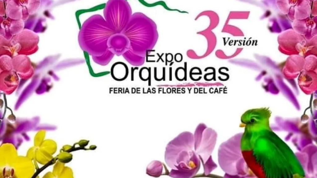 Todo listo para la Expo Orquídea 2025 en Boquete