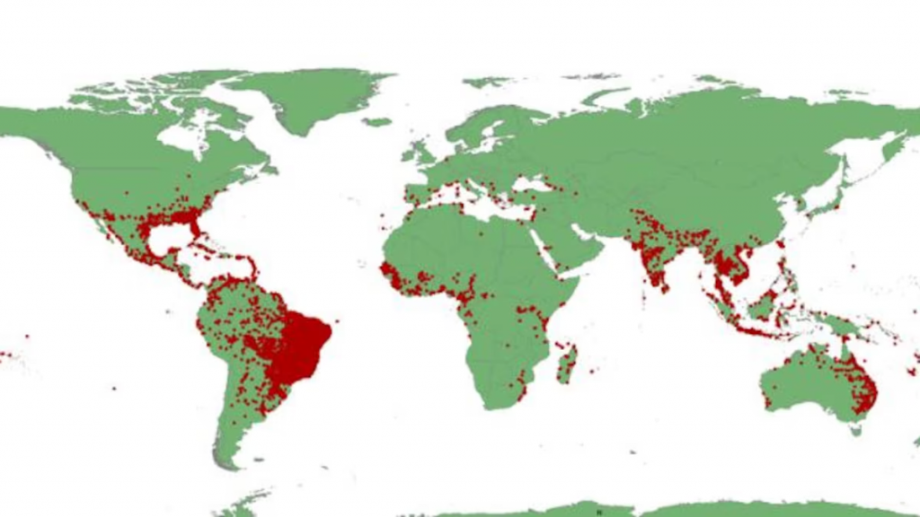 Descubren por qué el mosquito del dengue sobrevive a inviernos fríos
