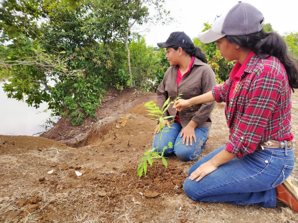 Avanza proyecto para restaurar tierras en la cuenca del río Chiriquí Viejo