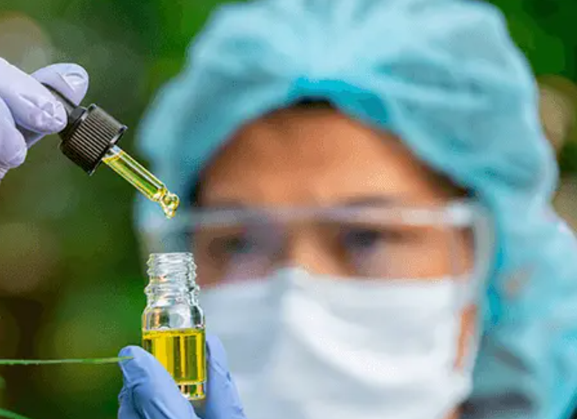 Estudio masivo sugiere que el cannabis medicinal podría combatir el cáncer