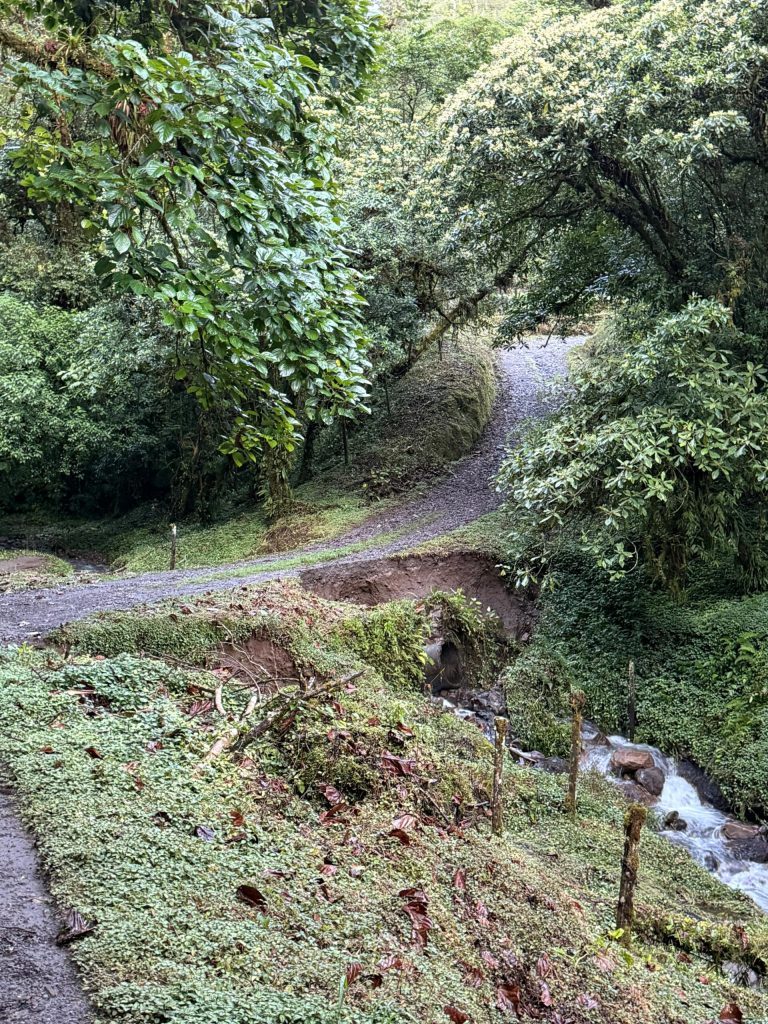 Inspeccionan sendero Los Quetzales tras reapertura turística