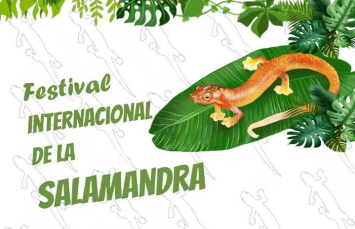 Festival de la Salamandra promueve turismo científico en Boquete