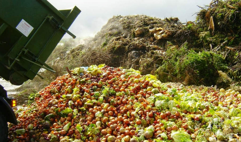 Protestas generan incertidumbre en productores de tierras altas de Chiriquí