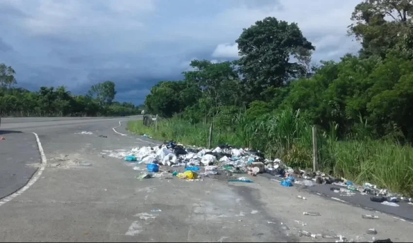 Basura en rotondas de Gariché genera preocupación y llamados a denunciar