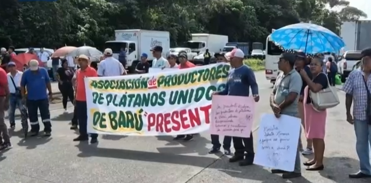 Productores de plátano en Barú mantienen protestas y exigen ser escuchados
