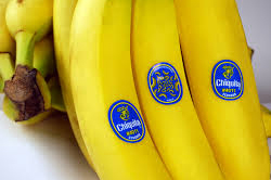 Chiquita Panamá cierra fincas bananeras en Bocas del Toro tras huelga
