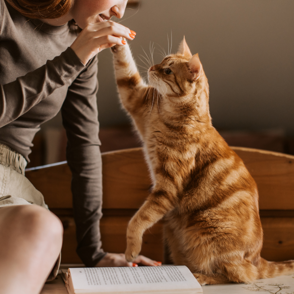 Baidu busca traducir las voces de animales a lenguaje humano con IA