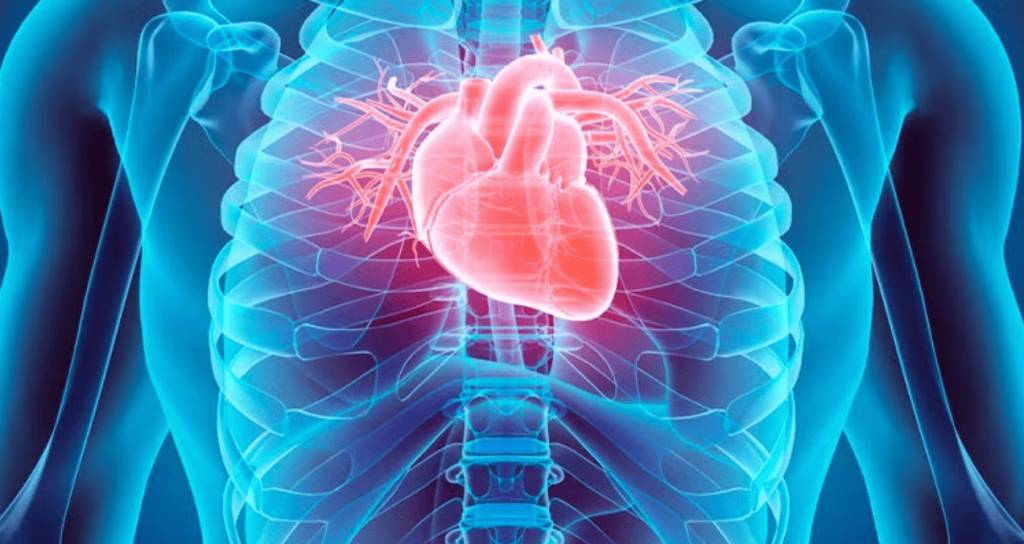 EE. UU. realiza primer trasplante de corazón totalmente robótico sin abrir el tórax