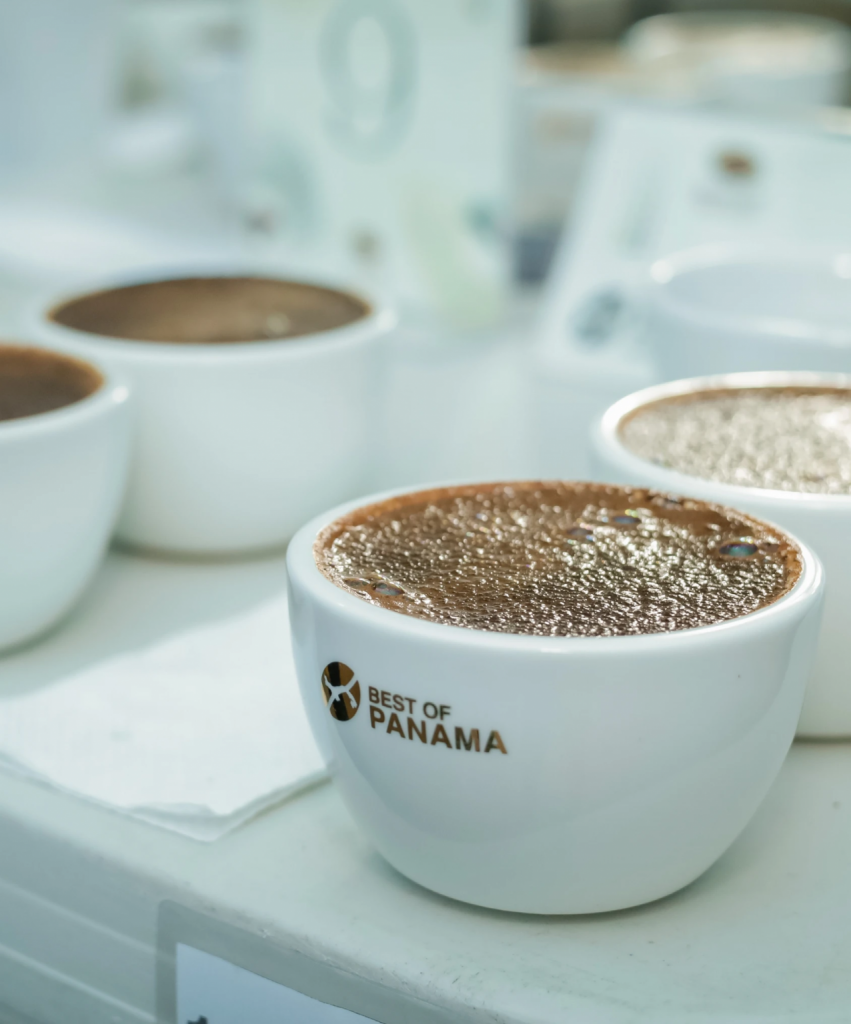 Avanza “The Best of Panamá”, la competencia de café más esperada del mundo