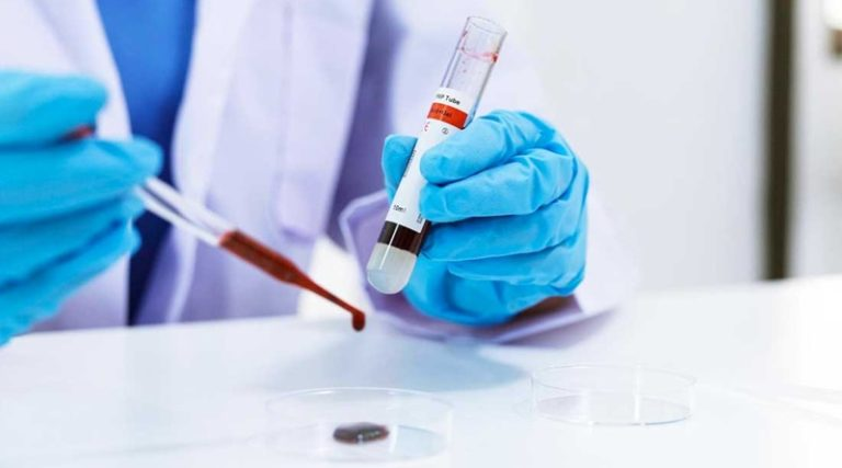 Científicos japoneses desarrollan sangre artificial universal y de larga duración