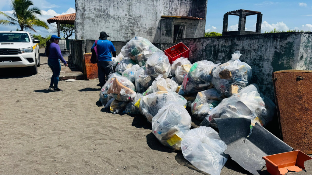 Más de 50 bolsas de basura recolectadas en Playa La Barqueta para proteger a tortugas marinas