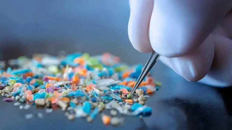 Estudio advierte sobre daños a la salud por nanoplásticos