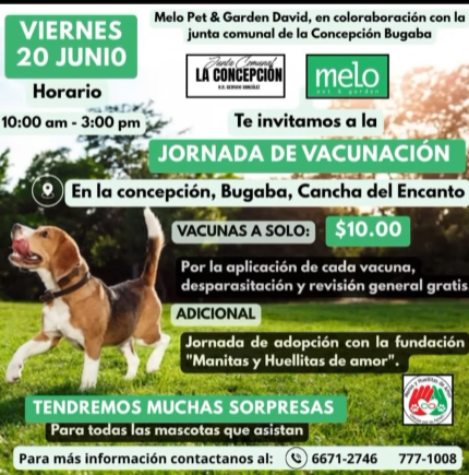 Jornada de vacunación y adopción de mascotas este 20 de julio en Bugaba