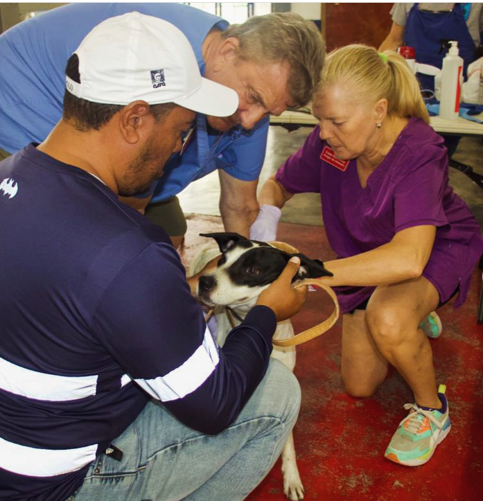 Exitosa jornada de vacunación canina en Caldera; anuncian esterilizaciones en Alto Boquete
