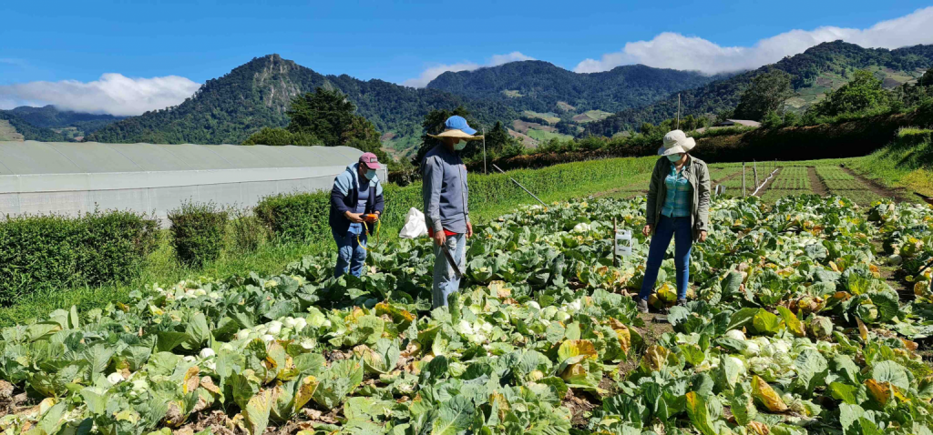 Productores de Tierras Altas se reunirán con representante agrícola de España