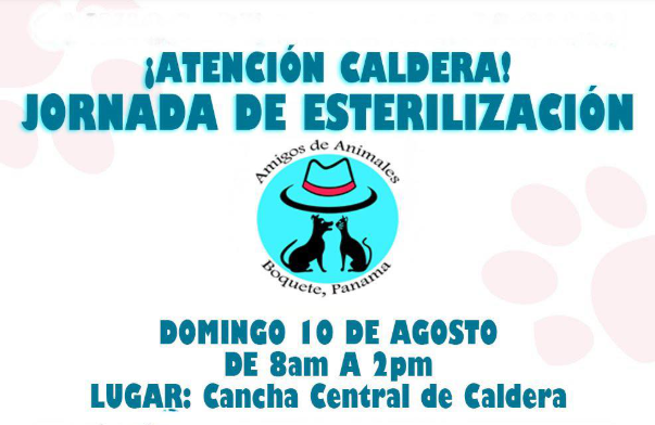 Anuncian jornada de esterilización en Caldera este 10 de agosto