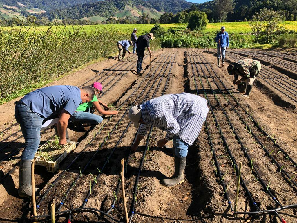 Productores de Tierras Altas exigen respeto a la ley y defensa de la producción nacional