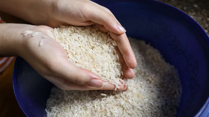 Productores de Tierras Altas piden frenar importaciones de arroz que amenazan rubros sensibles
