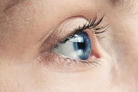 Científicos logran mantener con vida un ojo humano fuera del cuerpo por primera vez