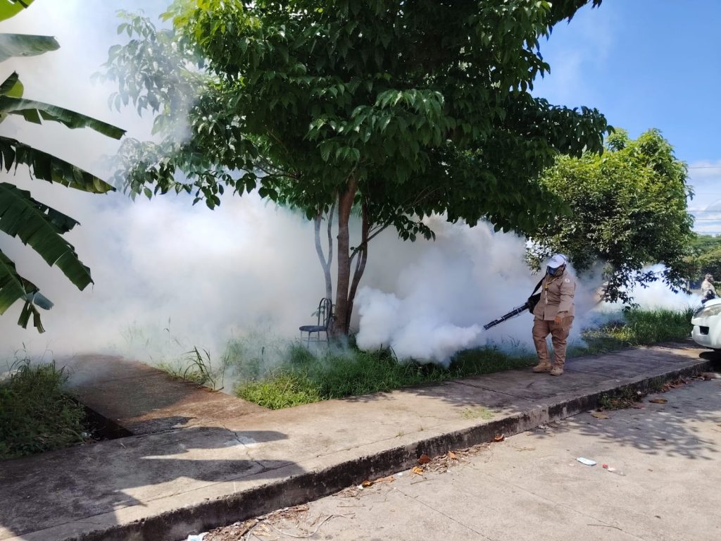 Chiriquí lidera defunciones por dengue; se registran más de 9 mil casos en el país