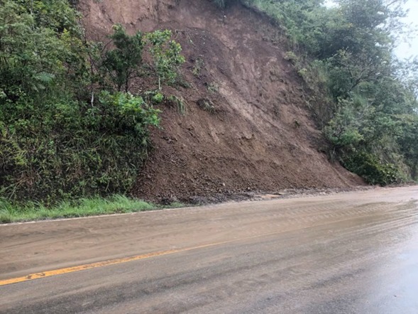 Fatal accidente en Río Sereno por la caída de un árbol