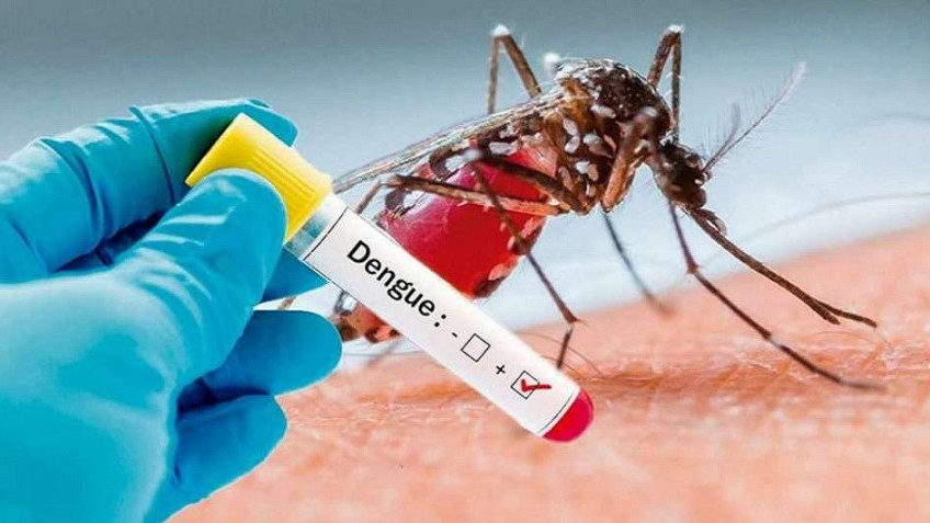 Autoridades de salud confirman cuarta muerte por dengue en Bocas del Toro