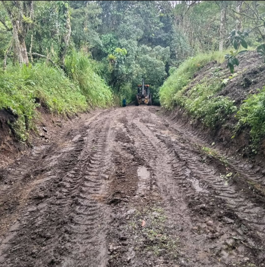 Avanzan trabajos de limpieza en el camino Guabito Caizán Primavera