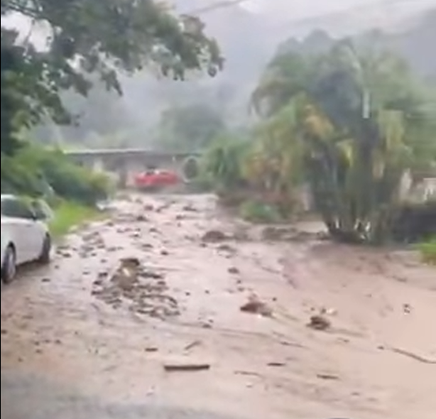Lluvias provocan desborde de quebrada en Palo Alto, Boquete