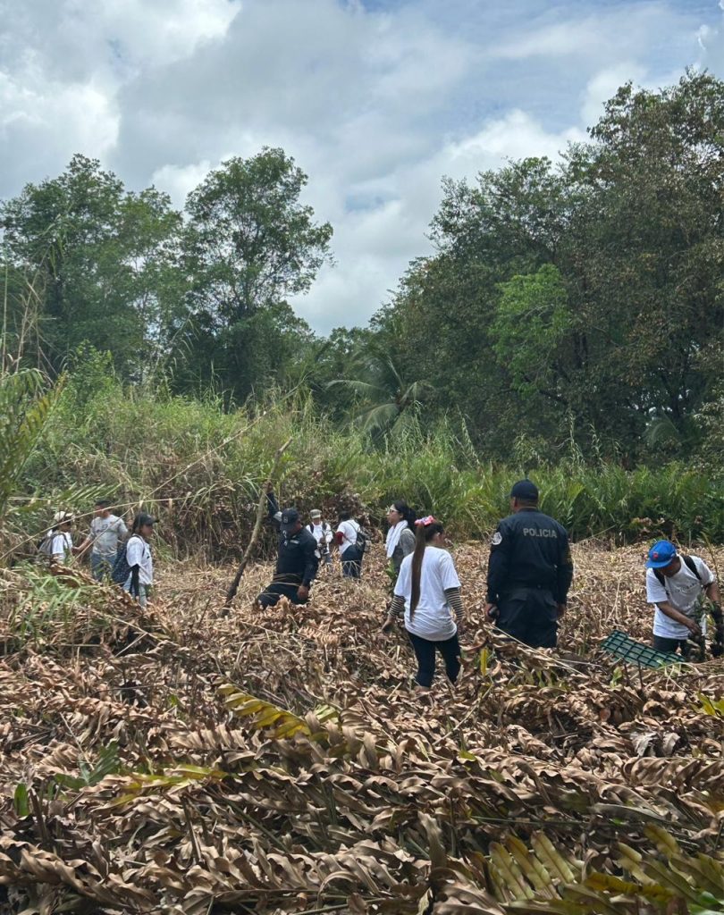 Reforestan manglares en Pedregal para fortalecer el ecosistema y el turismo local