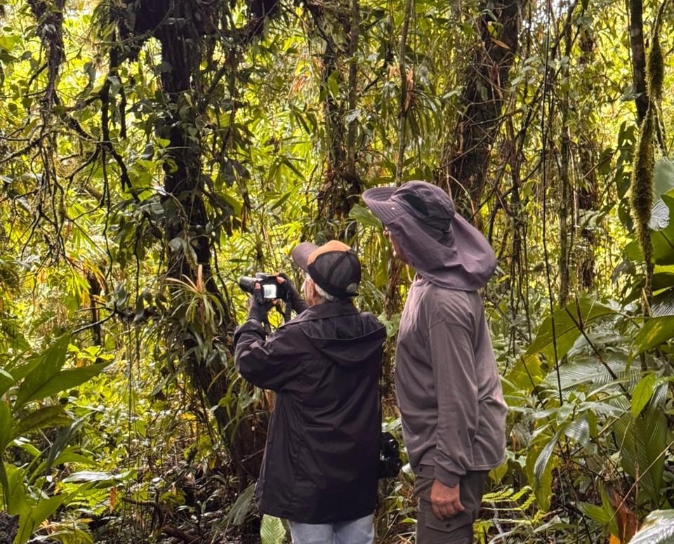 Estudiantes participan en jornada de observación de aves por el October Big Day