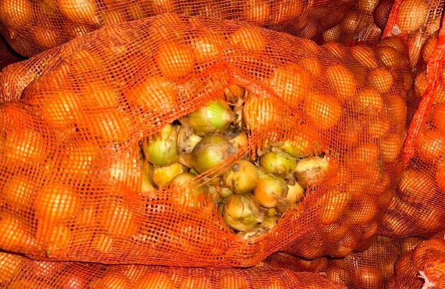 Autoridades retienen cargamento ilegal de cebolla y productores de Tierras Altas expresan preocupación