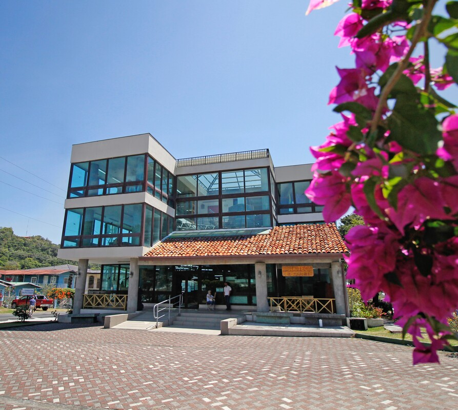 Biblioteca de Boquete celebrará jornada de poesía patriótica panameña este 18 de noviembre