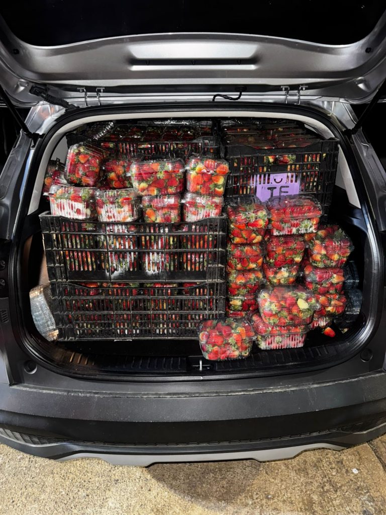 Aduanas investiga presunto contrabando de fresas en Chiriquí