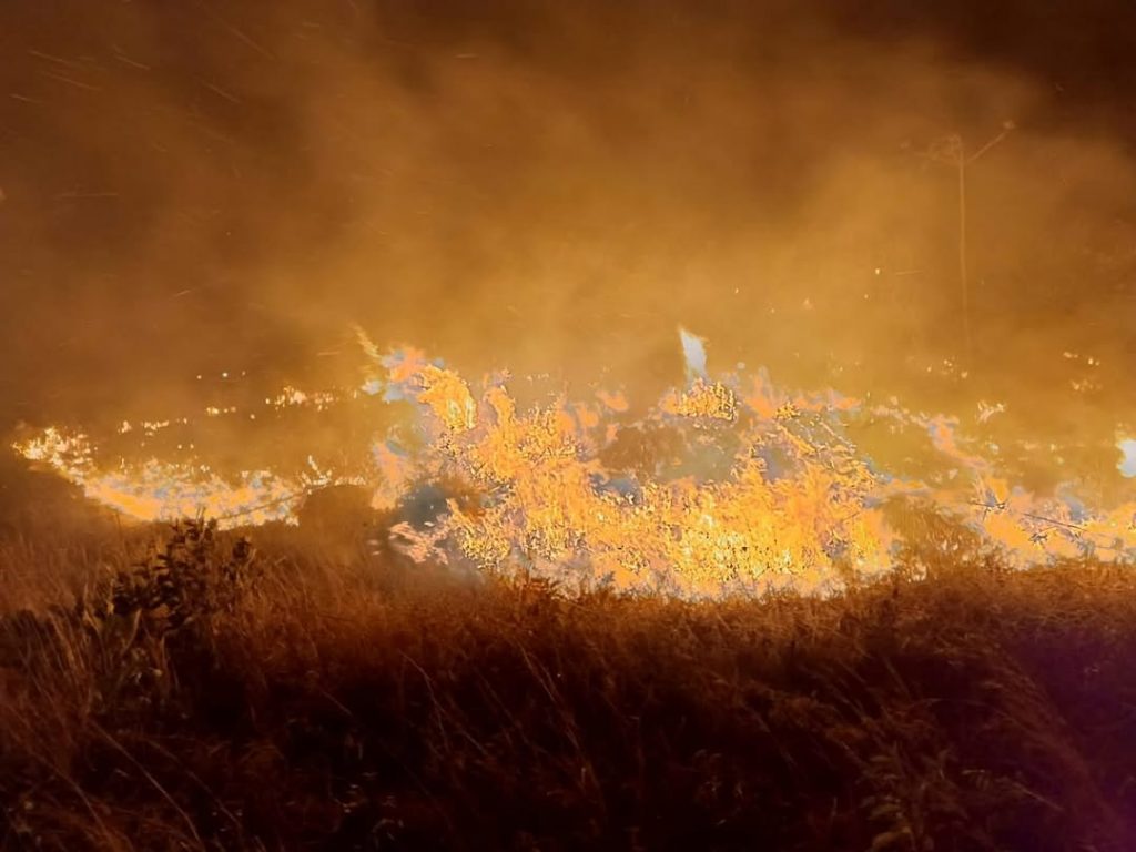 Preocupación en Boquete por aumento de incendios de masa vegetal