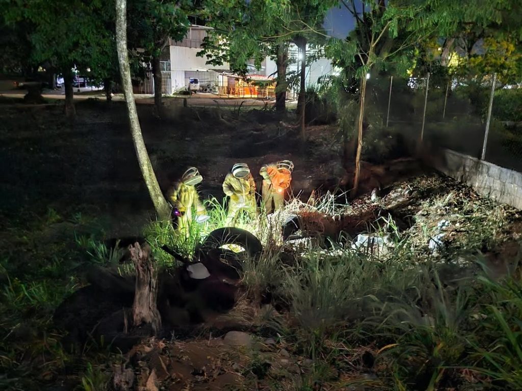 Controlan enjambre de abejas africanizadas en El Cabrero, Chiriquí