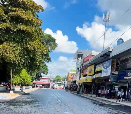 Realizan poda de árboles en parque de La Concepción por riesgo a transeúntes