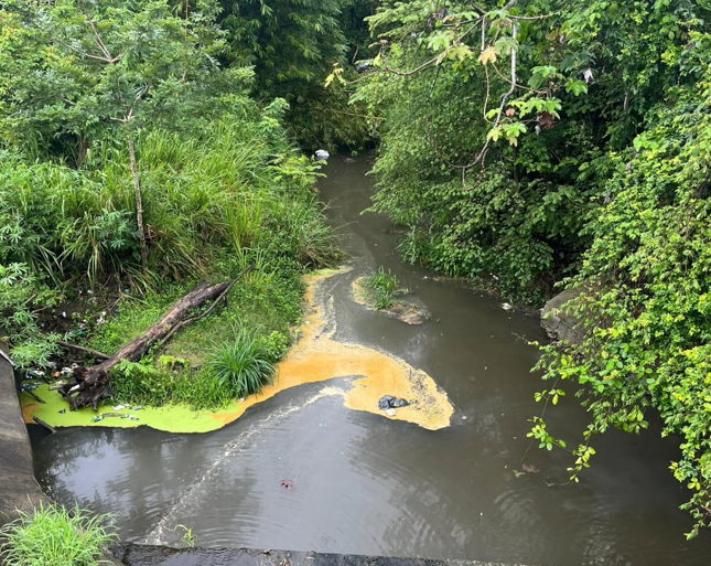 Preocupación en Puerto Armuelles por posible contaminación en sector de Carcache