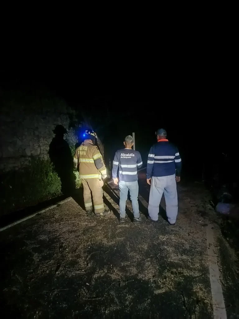 Caída de árbol interrumpió el tránsito y el servicio eléctrico en Alto Quiel